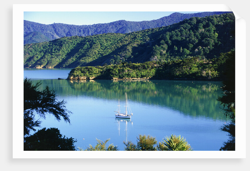 Marlborough Sound in New Zealand by Anonymous