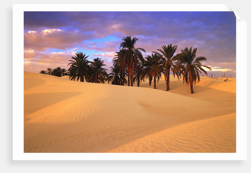 Sahara Desert in Tunisia by Anonymous
