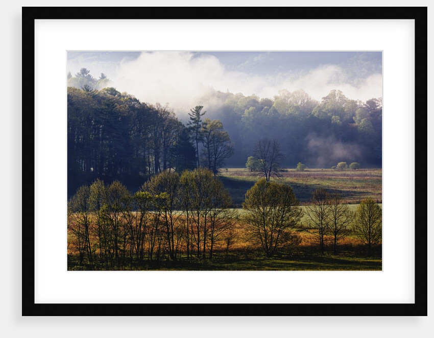Fog Lifting from Cades Cove by Anonymous