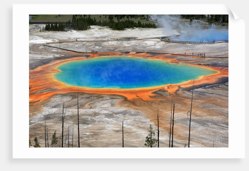 Grand Prismatic Spring by Anonymous