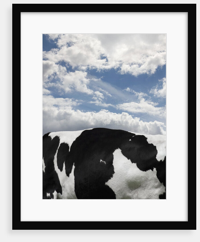 Cow and Sky Patterns by Anonymous