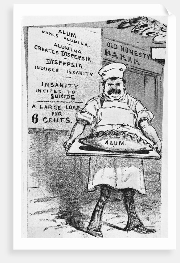 Illustration of Baker Holding Loaf of Bread Containing Alum by Anonymous
