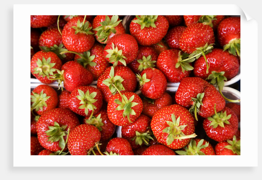 Strawberries by Anonymous