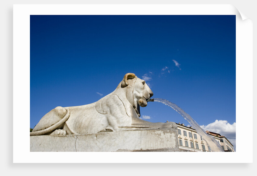 Piazza del Popolo by Anonymous