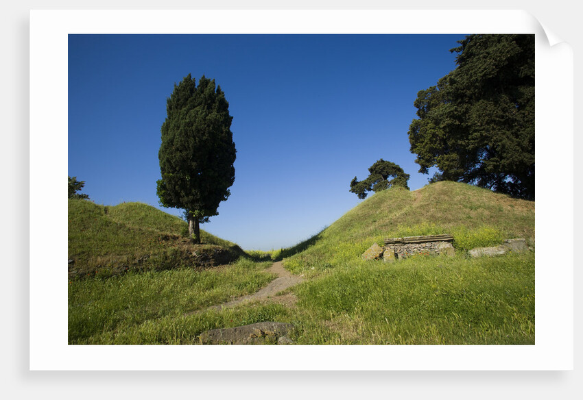 Via Appia by Anonymous