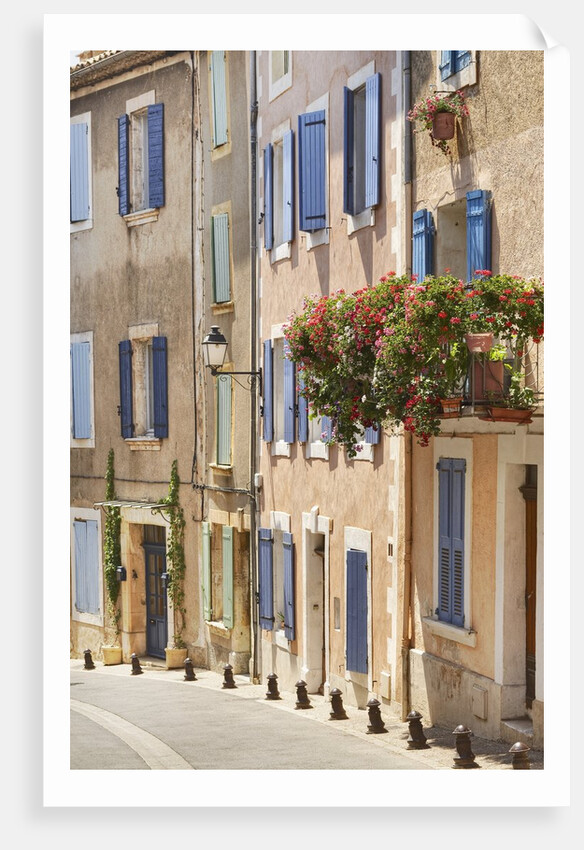 Geraniums on Balcony in St.-Saturnin-les-Apt by Anonymous