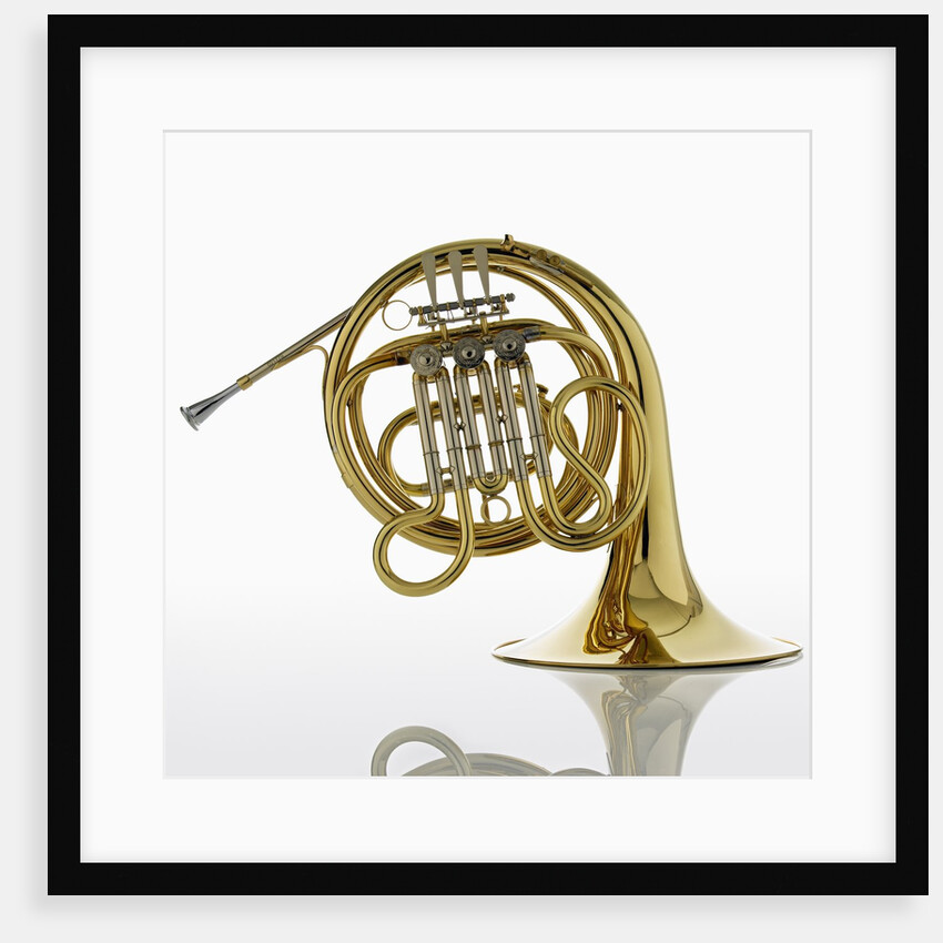 French Horn by Anonymous