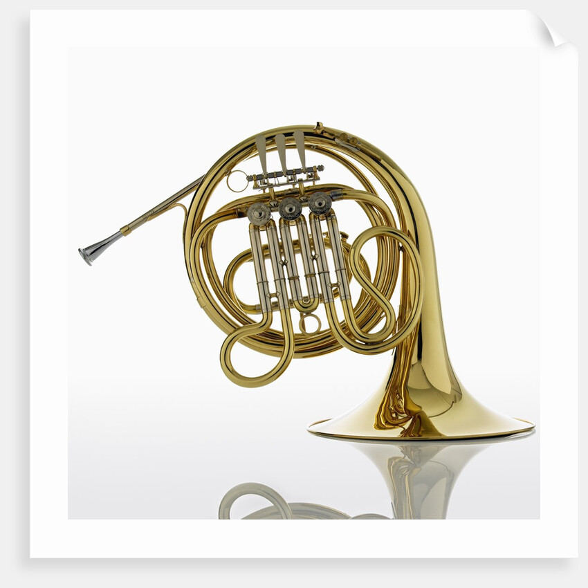 French Horn by Anonymous