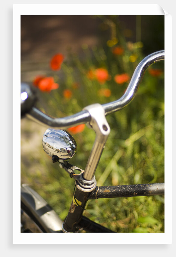 Old Bicycle and Flowers by Anonymous