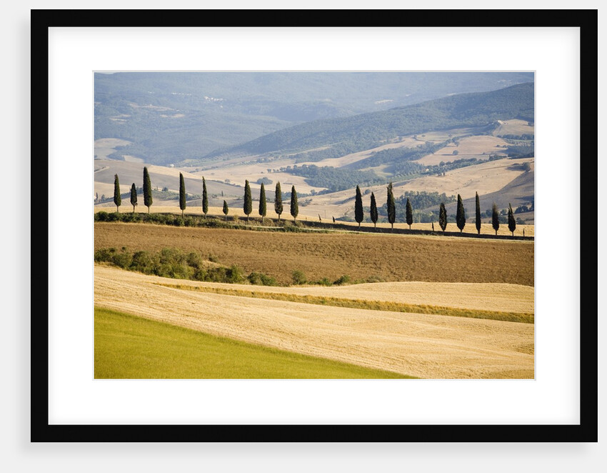 Rolling Tuscan Countryside by Anonymous