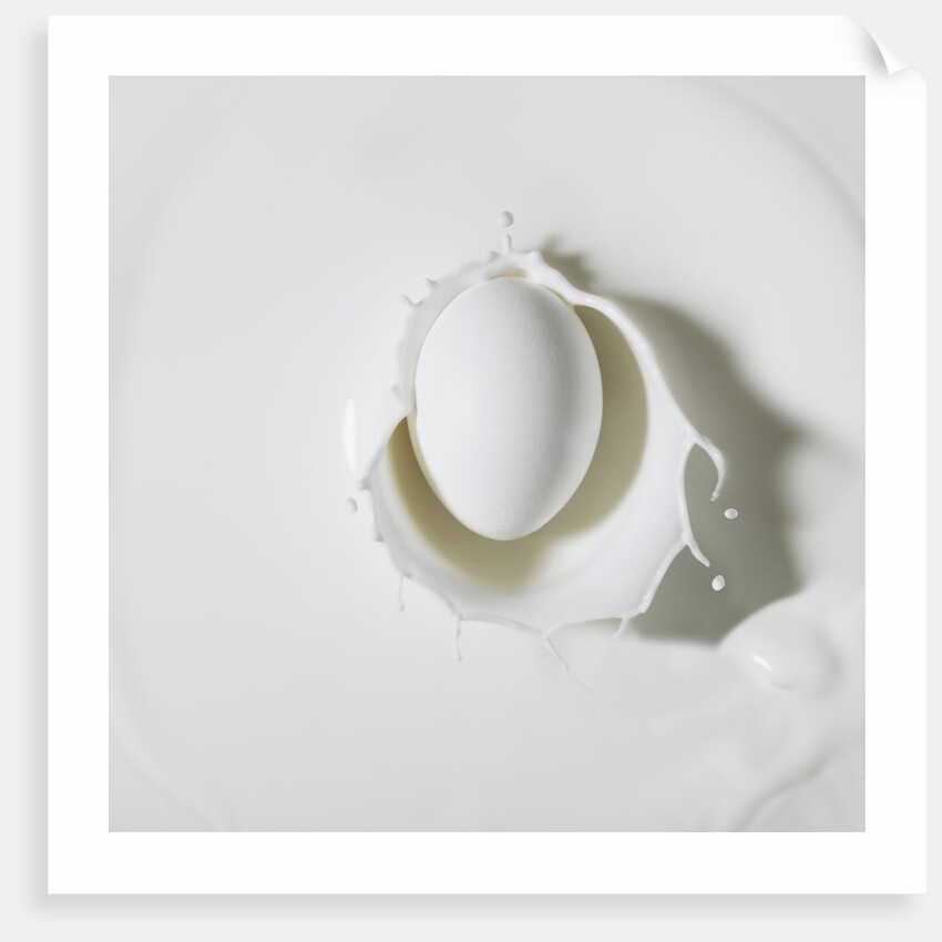 Egg splashing in milk by Anonymous