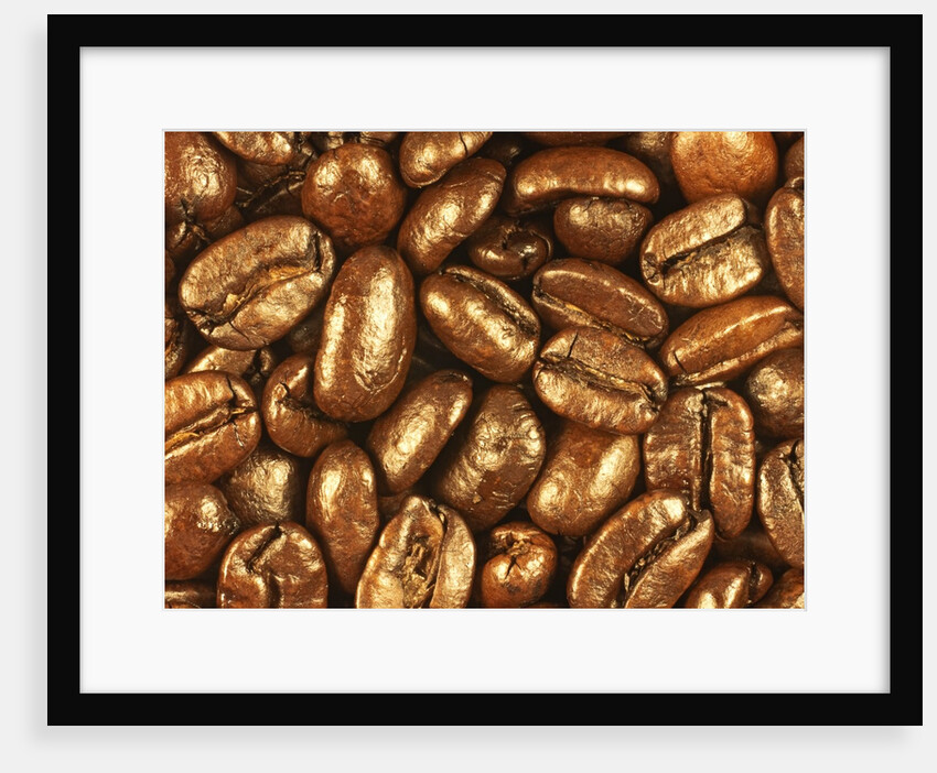 Beaned by Nathan Griffith