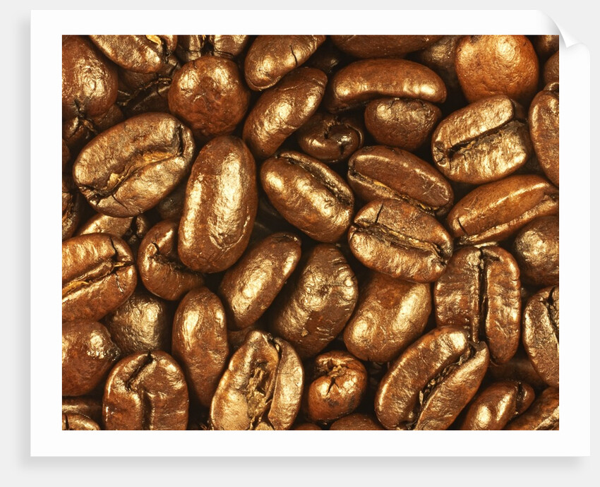 Beaned by Nathan Griffith