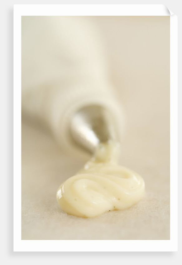 Piping Bag and Custard by Anonymous