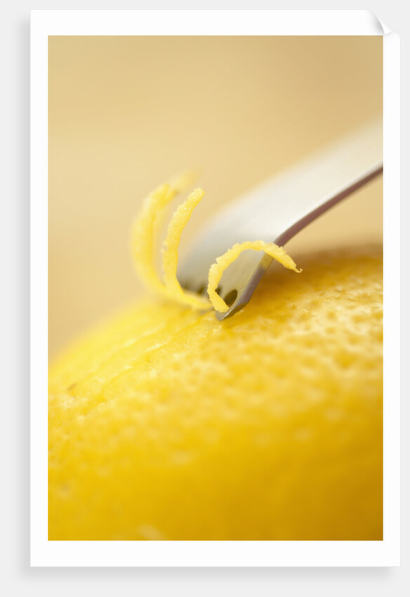 Lemon Zester on Lemon by Anonymous