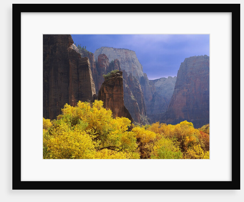 Zion National Park by Anonymous