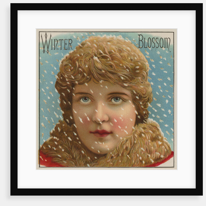 Winter Blossom Cigar Label by Anonymous