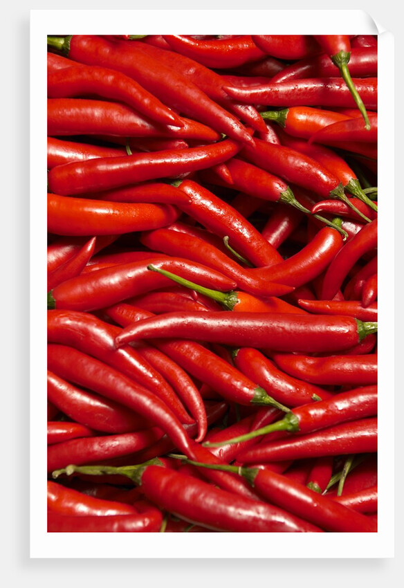 Jalapenos by Anonymous