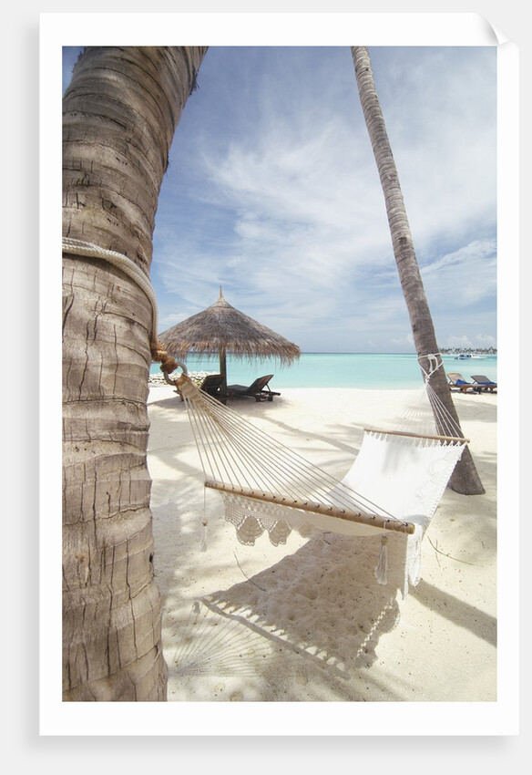 Hammock on the beach by Anonymous