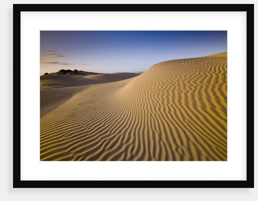 Sand Dunes of Isla Magdalena by Anonymous
