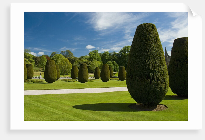 Gardens on the Estate of Lanhydrock by Anonymous