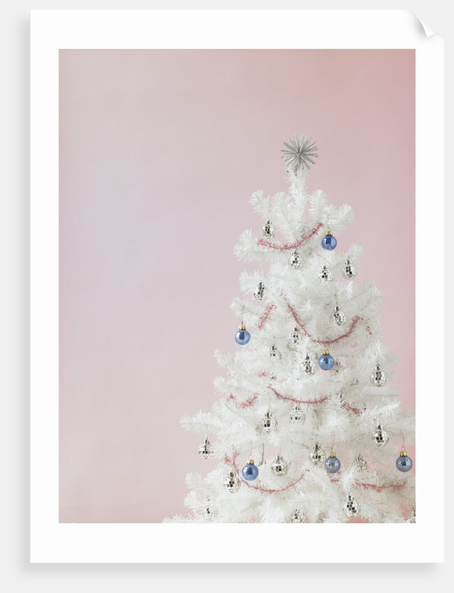 White Christmas tree by Anonymous