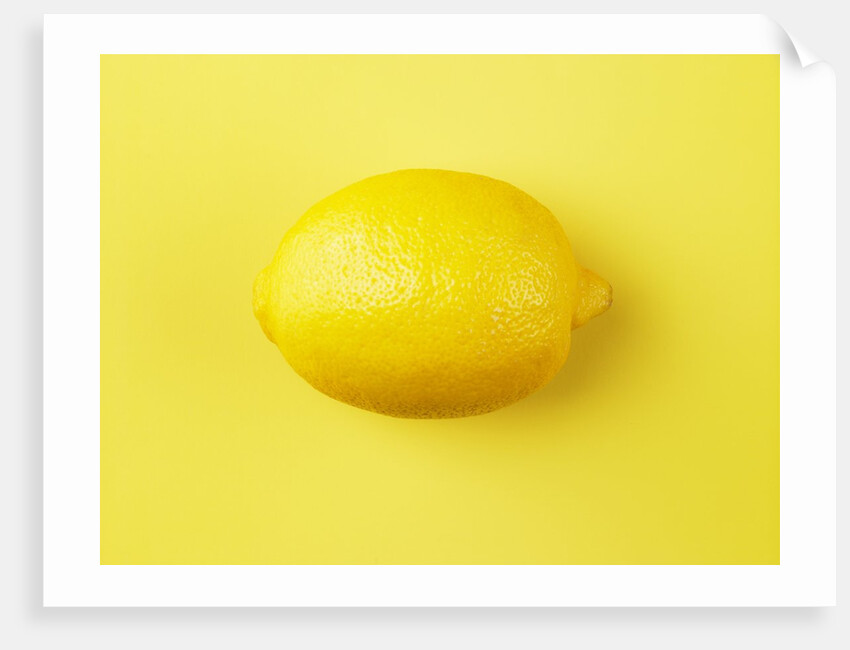 Lemon by Anonymous
