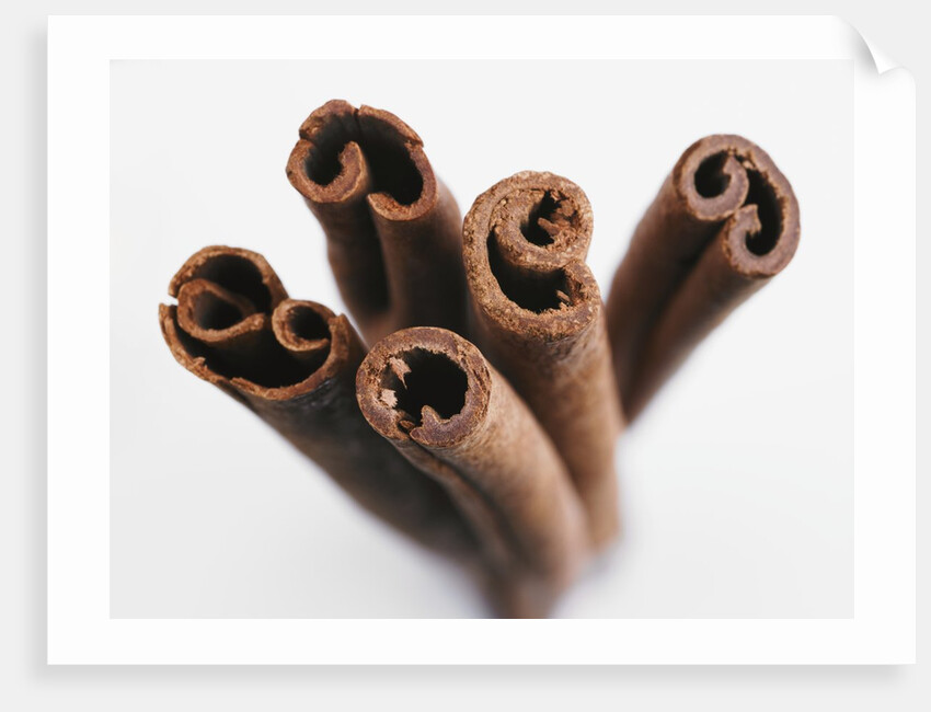 Cinnamon sticks by Anonymous