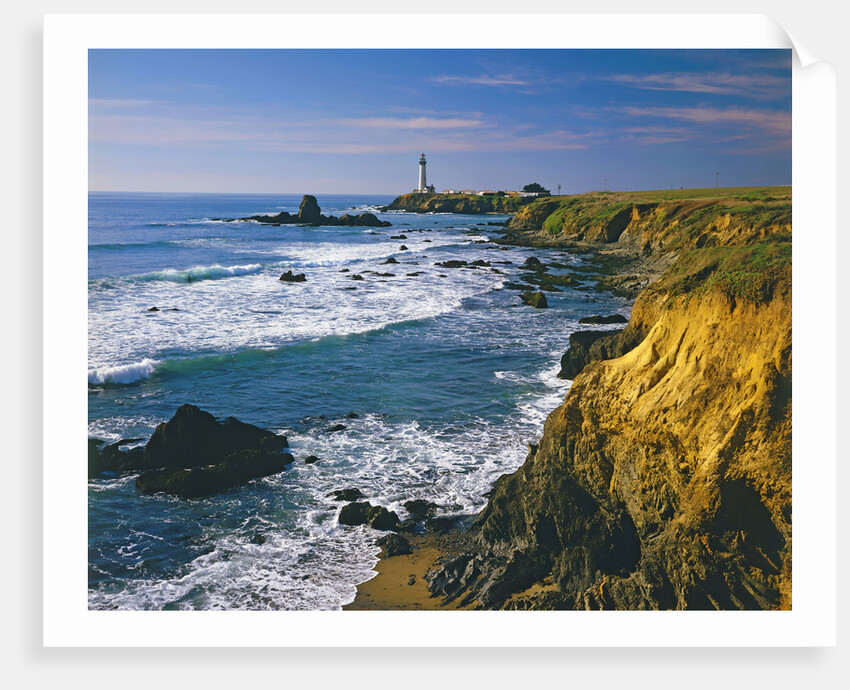 Pigeon Point Lighthouse by Anonymous