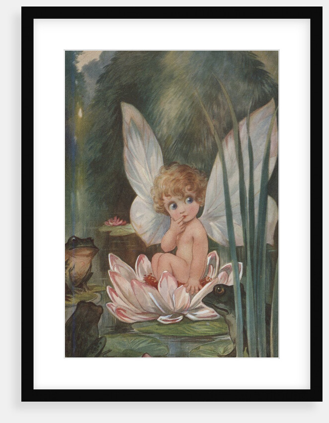 Illustration of Fairy on Water Lily by Fred Spurgin