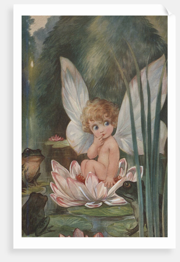 Illustration of Fairy on Water Lily by Fred Spurgin