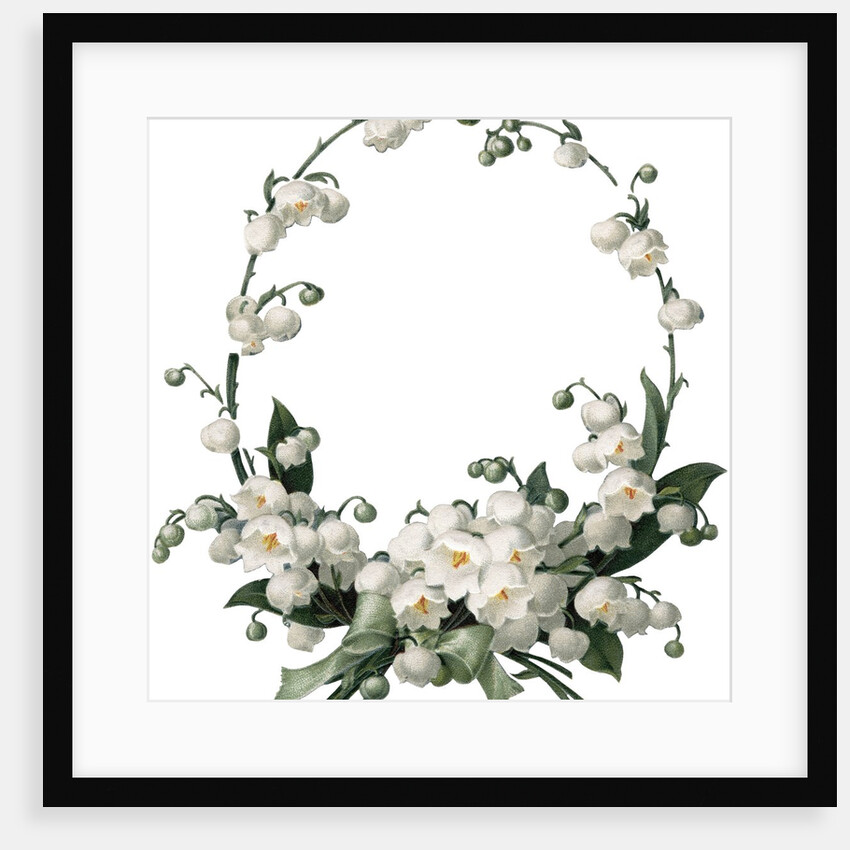 Illustration of White Flower Border by Anonymous