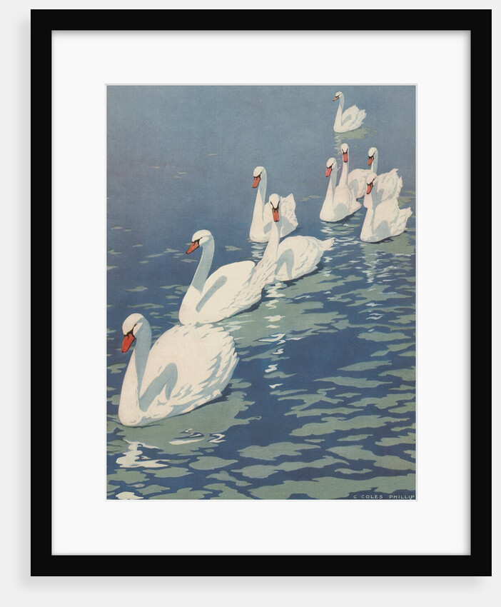 Illustration of Flock of Swans by Coles Phillips