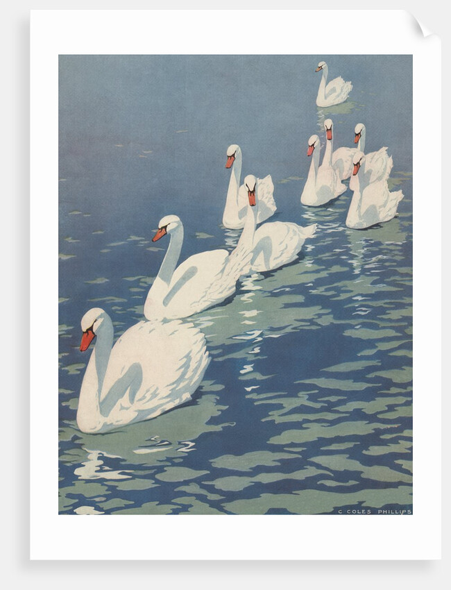 Illustration of Flock of Swans by Coles Phillips