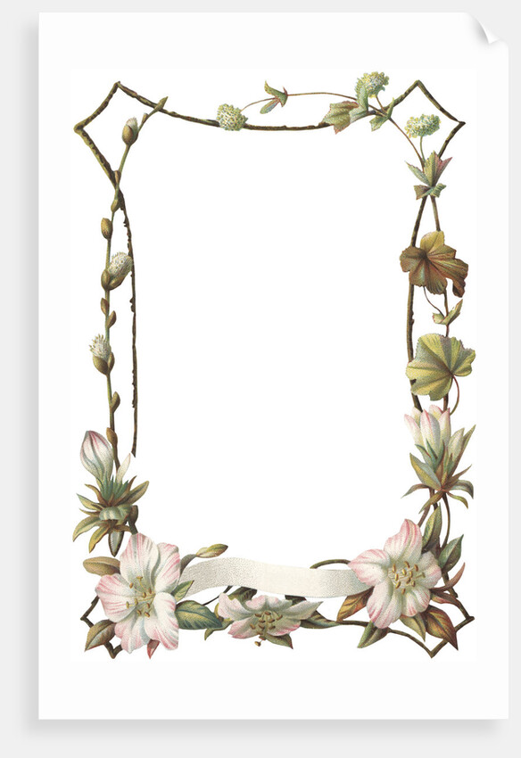 Illustration of Pink and White Flower Border by Anonymous