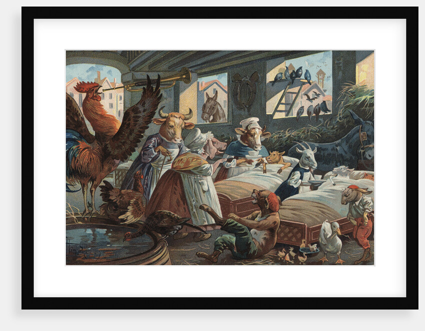 Illustration of Rooster Playing Reveille to Barnful of Animals by Anonymous