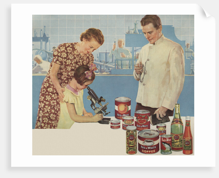 Illustration of Girl Looking Through Microscope by Douglass Crockwell