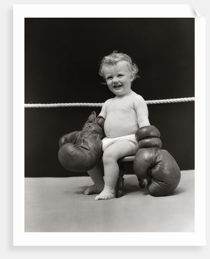 1930s Baby Seated On Stool In Boxing Ring Wearing Oversized Boxing Gloves Wearing Diaper by Anonymous