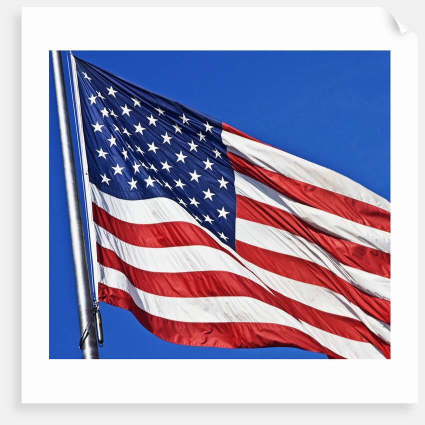 US Flag by Anonymous