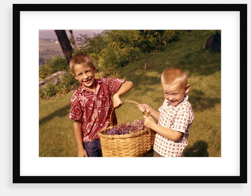 1960s Two Laughing Boys Carrying Basket Of Harvested Grapes by Anonymous