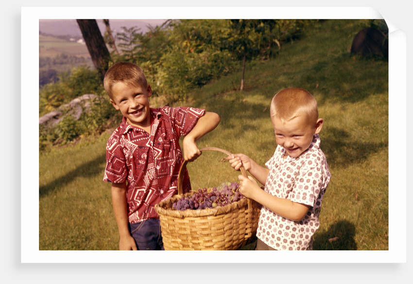 1960s Two Laughing Boys Carrying Basket Of Harvested Grapes by Anonymous