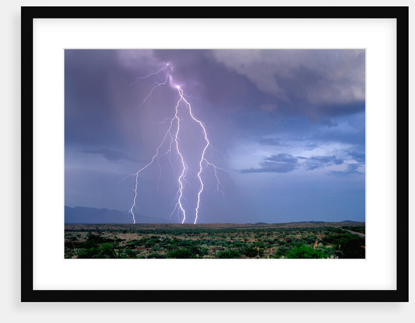 Lightning Strike near Tucson by Anonymous
