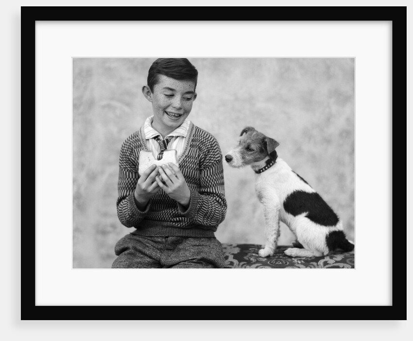 1920s 1930s Boy Eating Sandwich As Dog Stares At Food by Anonymous