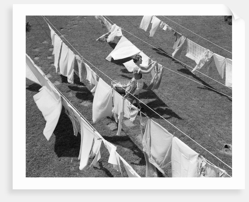 1950s Woman Hanging Laundry Outdoors On Several Clotheslines by Anonymous