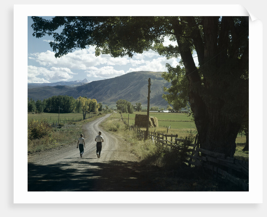 1960s Two Boys Brothers Walking Together Down A Summertime Farm Country Road by Anonymous