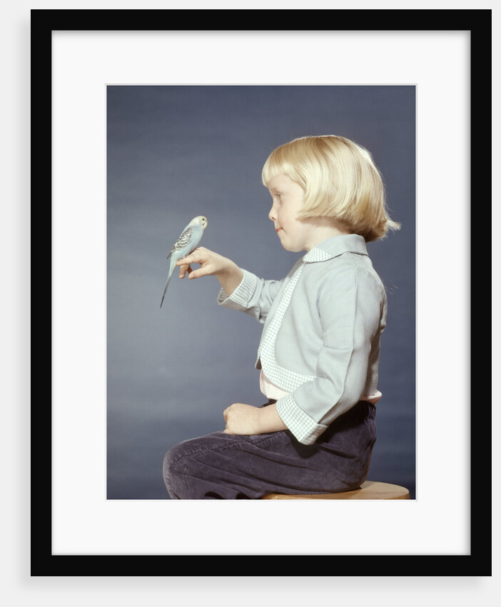 1950s 1960s Girl With Pet Bird Parakeet On Her Finger by Anonymous