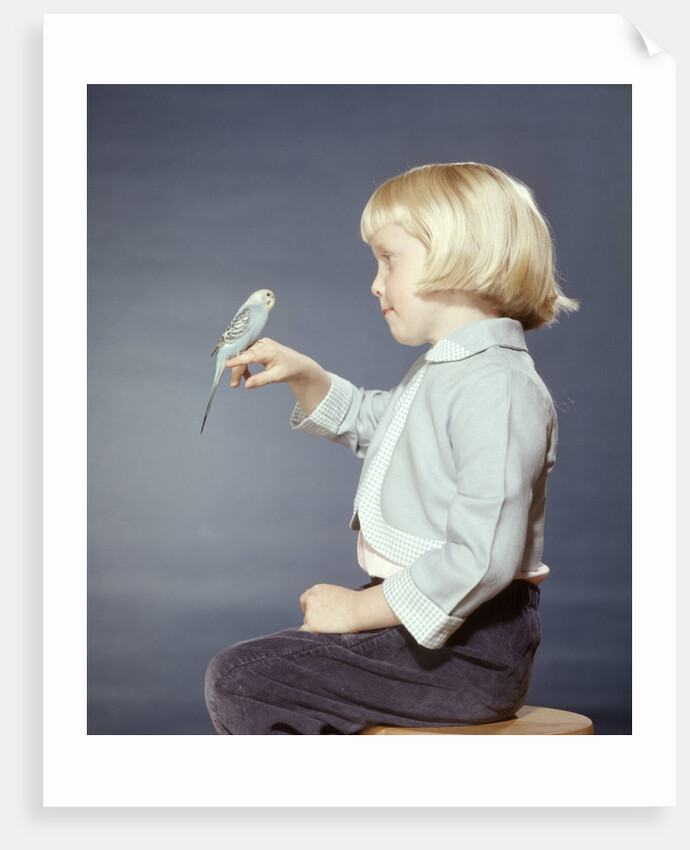 1950s 1960s Girl With Pet Bird Parakeet On Her Finger by Anonymous