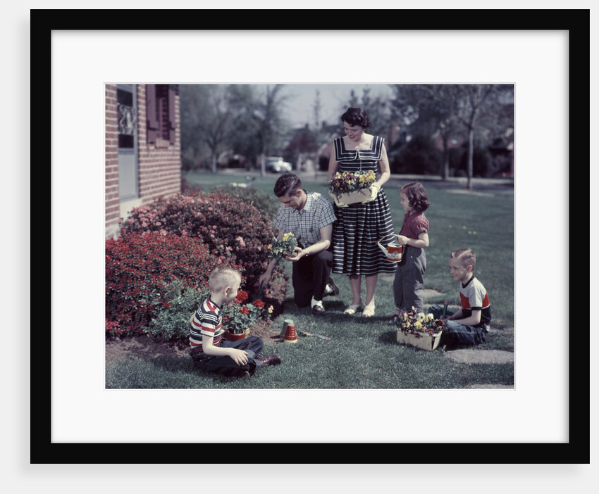 1950s Suburban Family Gardening Together In The Springtime by Anonymous