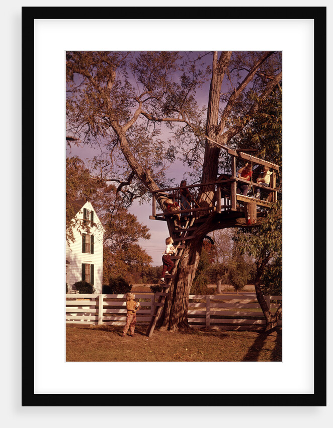 1960s 6 Children Playing In And Climbing Ladder Into Tree House In Suburban Backyard by Anonymous