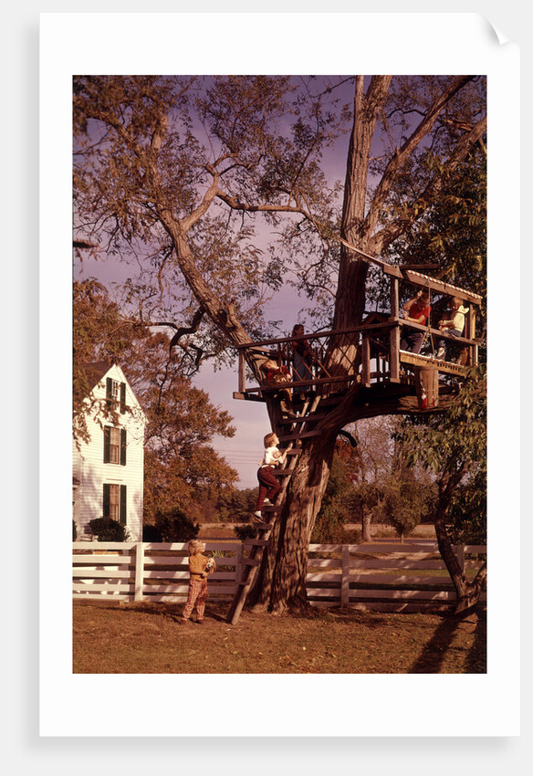 1960s 6 Children Playing In And Climbing Ladder Into Tree House In Suburban Backyard by Anonymous